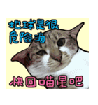 Dada wu is a cat（個別スタンプ：15）