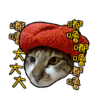 Dada wu is a cat（個別スタンプ：16）