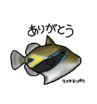 近海魚スタンプ〜磯採集の魚たち〜（個別スタンプ：8）