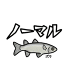 近海魚スタンプ〜磯採集の魚たち〜（個別スタンプ：15）
