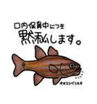 近海魚スタンプ〜磯採集の魚たち〜（個別スタンプ：21）
