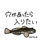 近海魚スタンプ〜磯採集の魚たち〜（個別スタンプ：28）