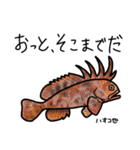 近海魚スタンプ〜磯採集の魚たち〜（個別スタンプ：31）