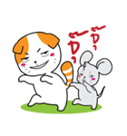 Scottish Fold and Indy mouse（個別スタンプ：6）