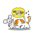 Scottish Fold and Indy mouse（個別スタンプ：8）