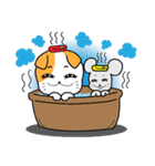 Scottish Fold and Indy mouse（個別スタンプ：12）