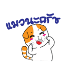 Scottish Fold and Indy mouse（個別スタンプ：18）
