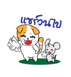 Scottish Fold and Indy mouse（個別スタンプ：19）