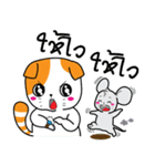 Scottish Fold and Indy mouse（個別スタンプ：20）