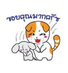 Scottish Fold and Indy mouse（個別スタンプ：24）