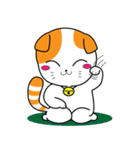Scottish Fold and Indy mouse（個別スタンプ：27）