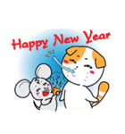 Scottish Fold and Indy mouse（個別スタンプ：37）
