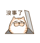 Small bad cat got move 2（個別スタンプ：12）