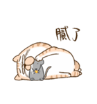 Small bad cat got move 2（個別スタンプ：17）