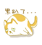 Mi Mi cat（個別スタンプ：23）