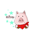 SCARF PIG（個別スタンプ：30）