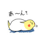 cockatiel and Java sparrow2(surreal)（個別スタンプ：16）