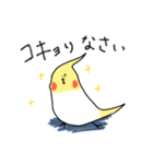 cockatiel and Java sparrow2(surreal)（個別スタンプ：20）