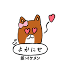 薩摩犬の日常（個別スタンプ：1）