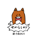 薩摩犬の日常（個別スタンプ：10）