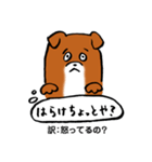 薩摩犬の日常（個別スタンプ：14）