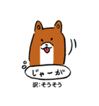薩摩犬の日常（個別スタンプ：19）