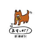薩摩犬の日常（個別スタンプ：22）