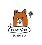 薩摩犬の日常（個別スタンプ：24）