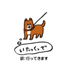 薩摩犬の日常（個別スタンプ：26）