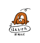 薩摩犬の日常（個別スタンプ：30）