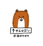 薩摩犬の日常（個別スタンプ：37）