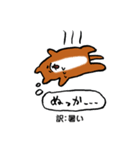 薩摩犬の日常（個別スタンプ：39）