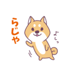 赤柴さんの日常スタンプ（個別スタンプ：3）