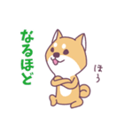 赤柴さんの日常スタンプ（個別スタンプ：5）