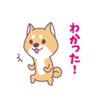 赤柴さんの日常スタンプ（個別スタンプ：6）