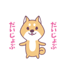 赤柴さんの日常スタンプ（個別スタンプ：7）