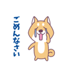 赤柴さんの日常スタンプ（個別スタンプ：11）