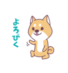 赤柴さんの日常スタンプ（個別スタンプ：12）