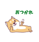 赤柴さんの日常スタンプ（個別スタンプ：13）