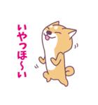 赤柴さんの日常スタンプ（個別スタンプ：16）