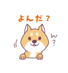 赤柴さんの日常スタンプ（個別スタンプ：23）