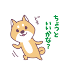 赤柴さんの日常スタンプ（個別スタンプ：24）