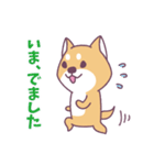 赤柴さんの日常スタンプ（個別スタンプ：26）