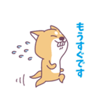 赤柴さんの日常スタンプ（個別スタンプ：27）
