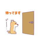 赤柴さんの日常スタンプ（個別スタンプ：31）