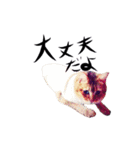 アビー（個別スタンプ：16）