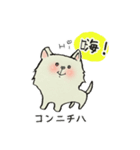 白犬ルンちゃん(中国語と日本語)（個別スタンプ：1）