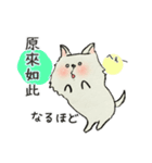 白犬ルンちゃん(中国語と日本語)（個別スタンプ：24）