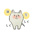 白犬ルンちゃん(中国語と日本語)（個別スタンプ：35）