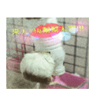 The mouse goddess（個別スタンプ：7）